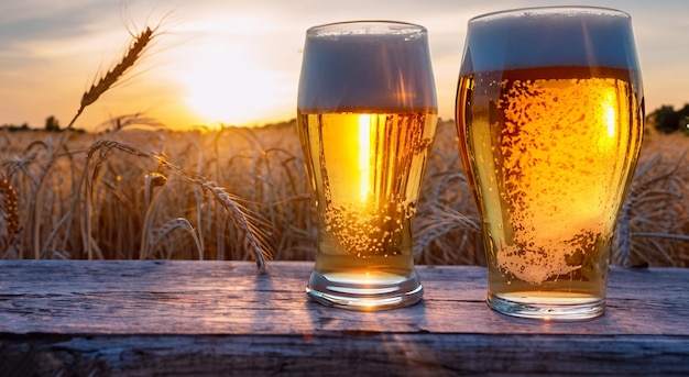 copo de cerveja de trigo em um campo de trigo com um raio de sol ao fundo