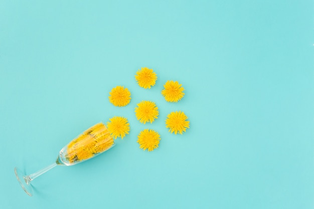 Copo de vinho com flores amarelas-leão. Vinho-leão conceito, cuidados de saúde, fitoterapia