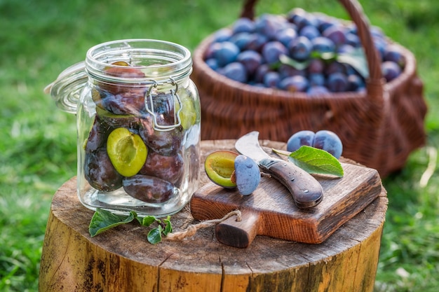 Foto copo de vinho e uvas