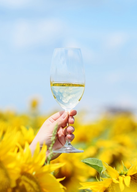 Copo de vinho no fundo de um campo de girassóis