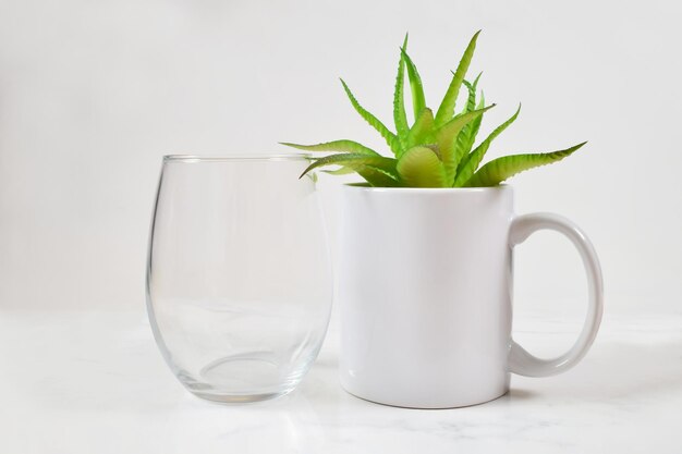 Copo de vinho sem haste e maquete de caneca de café de 11 oz com planta de aloe vera