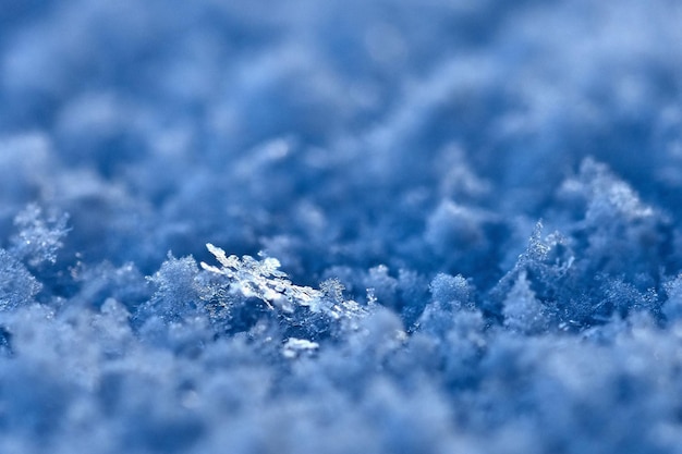 Copo de nieve Fotografía macro de cristal de nieve real Hermoso fondo invernal naturaleza estacional y el clima en invierno