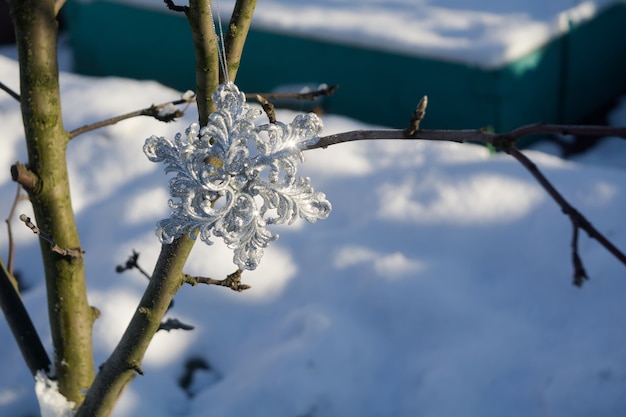 Copo de nieve de plata en la nieve