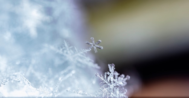 Foto copo de nieve sobre la nieve vacaciones de invierno y fondo de navidad