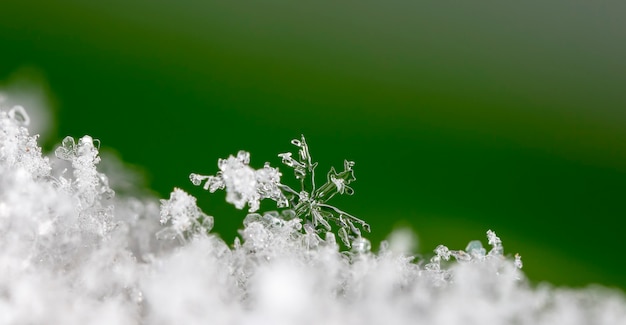 Copo de nieve sobre la nieve Vacaciones de invierno y fondo de Navidad