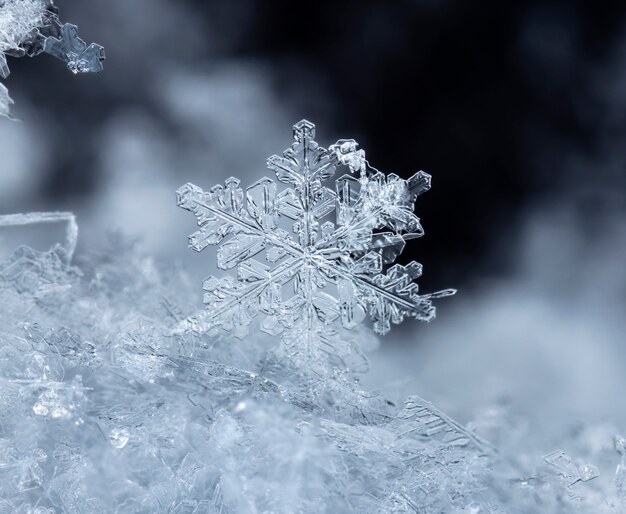 Copo de nieve sobre ventisquero natural cerca de fondo de invierno y Navidad