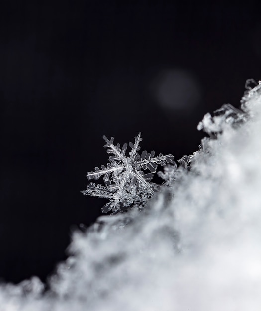 Copo de nieve sobre ventisquero natural cerca de fondo de invierno y Navidad
