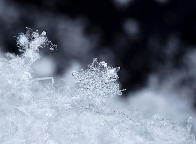 Copo de nieve sobre ventisquero natural cerca de fondo de invierno y Navidad