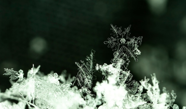 Copo de nieve sobre ventisquero natural cerca de fondo de invierno y Navidad