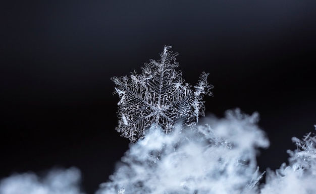 Copo de nieve sobre ventisquero natural cerca de fondo de invierno y Navidad