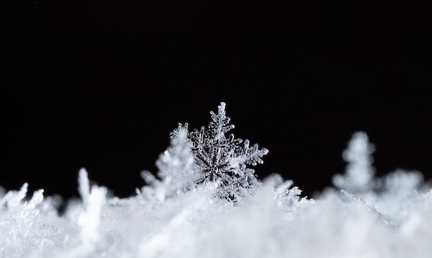 Copo de nieve sobre ventisquero natural cerca de fondo de invierno y Navidad