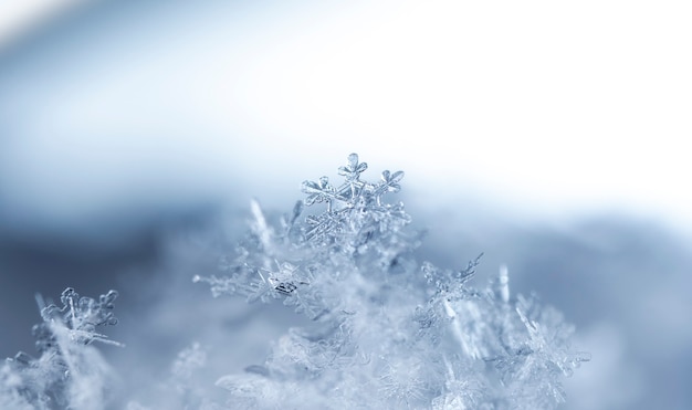 Copo de nieve en la temporada de invierno de nieve