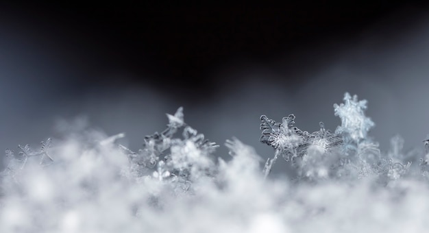 Copo de nieve en la temporada de invierno de nieve