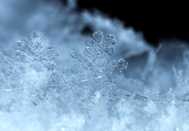 Copo de nieve en la temporada de invierno de nieve