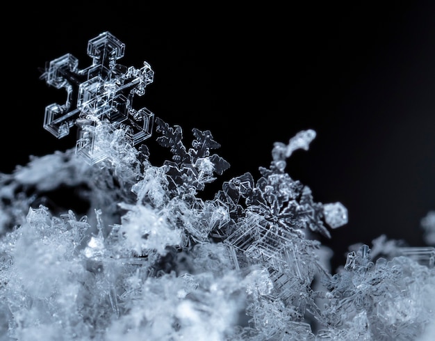 Copo de nieve en la temporada de invierno de nieve