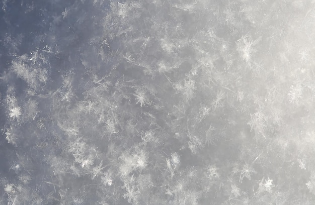 Copos de nieve blancos naturales, tiro macro