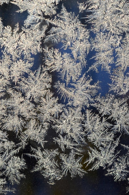 Copos de nieve escarcha escarcha macro en cristal de ventana