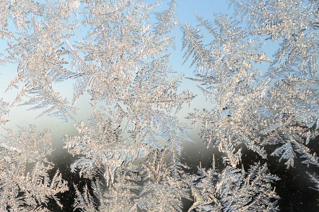 Copos de nieve escarcha escarcha macro en cristal de ventana