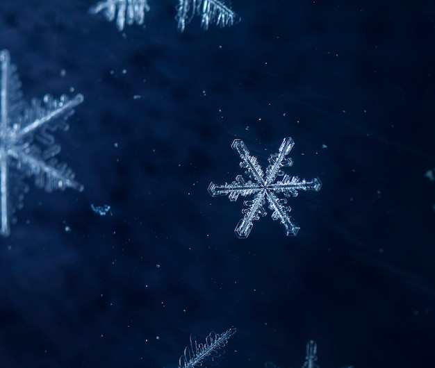 Copos de nieve durante una nevada