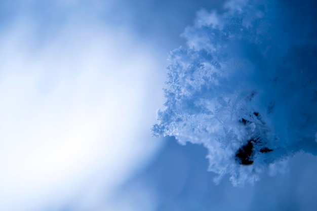 Los copos de nieve nieve fondo azul para su inscripción