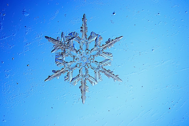 Foto copos de nieve sobre un fondo azul.