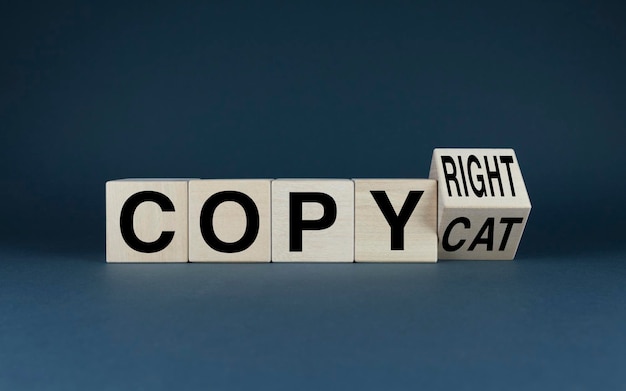 Copycat para copyright Cubos formam palavras Copycat ou copyright Business Concept