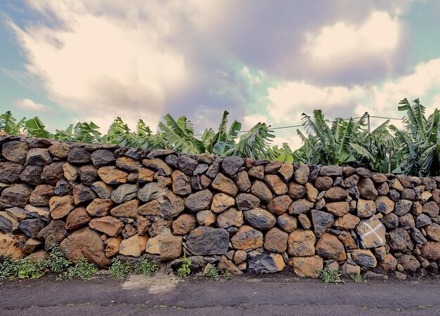 Muro De Pedra Com Musgo E Plantas Verdes. Captura De Reforço Da Via De  Cobertura. Pavimentação De Pedra Natural No Parque Próximo. Imagem de Stock  - Imagem de velho, estrutura: 262768673