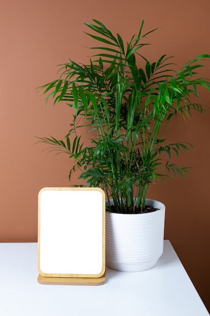 Copyspace de marco de madera y planta verde sobre mesa blanca con fondo de pared naranja oscuro