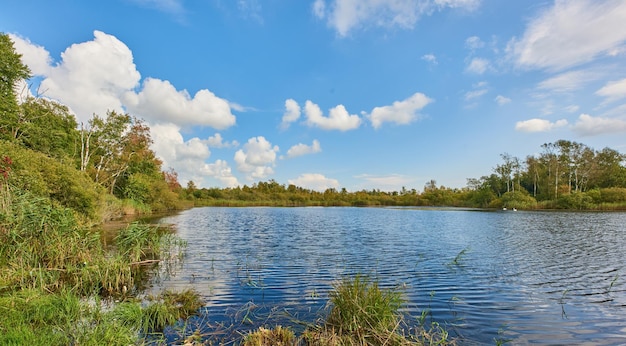 Copyspace y paisaje escénico de un lago tranquilo y silencioso rodeado de árboles y matorrales y un cielo azul nublado arriba en Dinamarca Un bosque con un río y exuberantes plantas verdes en un lugar remoto en la naturaleza