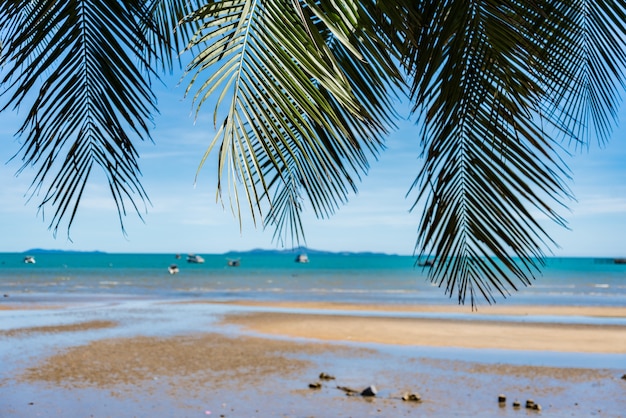 Coqueiro e paisagem de praia com céu azul para férias de verão