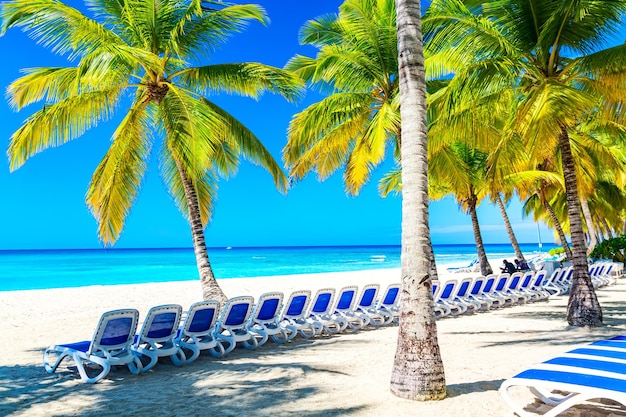 Coqueiros com espreguiçadeiras na praia tropical do Caribe. Ilha Saona, República Dominicana. Fundo de viagens de férias