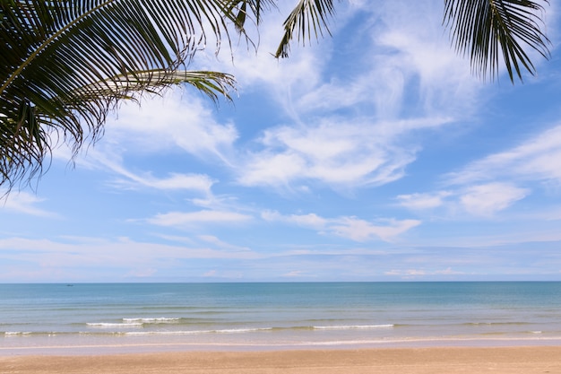 Coqueiros contra o céu azul. palmeiras na costa tropical.