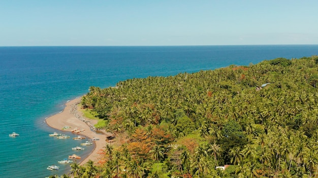 Coqueiros perto da praia e o mar azul acima da praia vista com barcos de pesca e palmeiras tro
