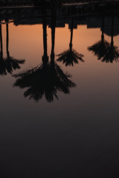 Coqueiros tropicais de verão e reflexo da silhueta do céu do sol na água