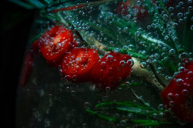 Foto coquetel alcoólico com gelo e alecrim e pepperoni em um fundo preto macro