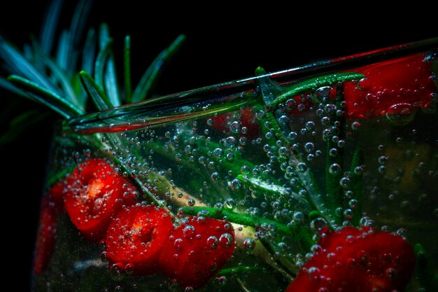 Foto coquetel alcoólico com gelo e alecrim e pepperoni em um fundo preto macro