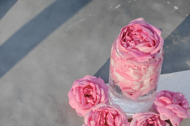 Coquetel frio de chá-de-rosa com pétalas de rosa em um copo de vidro em um fundo cinza com flores rosas