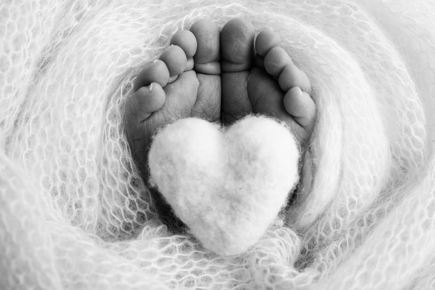 Coração de malha nas pernas de um bebê Pés macios de um recém-nascido em um cobertor de lã Closeup de calcanhares e pés de um recém-nascido Fotografia macro em preto e branco o pezinho de um bebê recém-nascido
