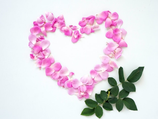 Coração de pétala de rosas