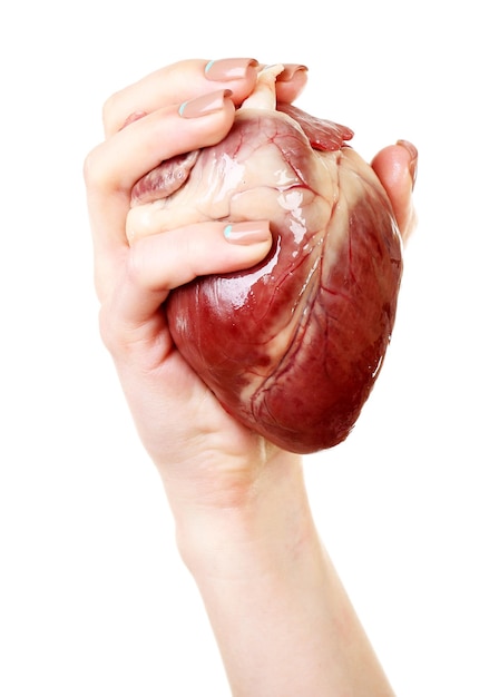 Coração na mão feminina isolada em branco