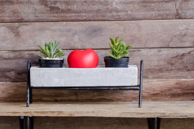 Coração vermelho dos namorados decorados com vasos de cactos em fundo rústico de madeira