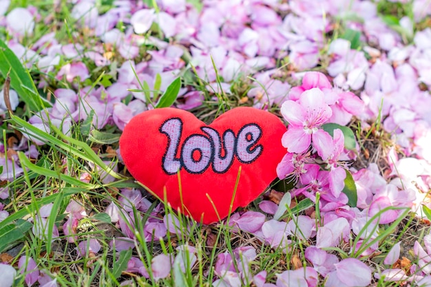 Coração vermelho em flores de maçãConceito sobre amor e relacionamentoConceito do dia dos namorados