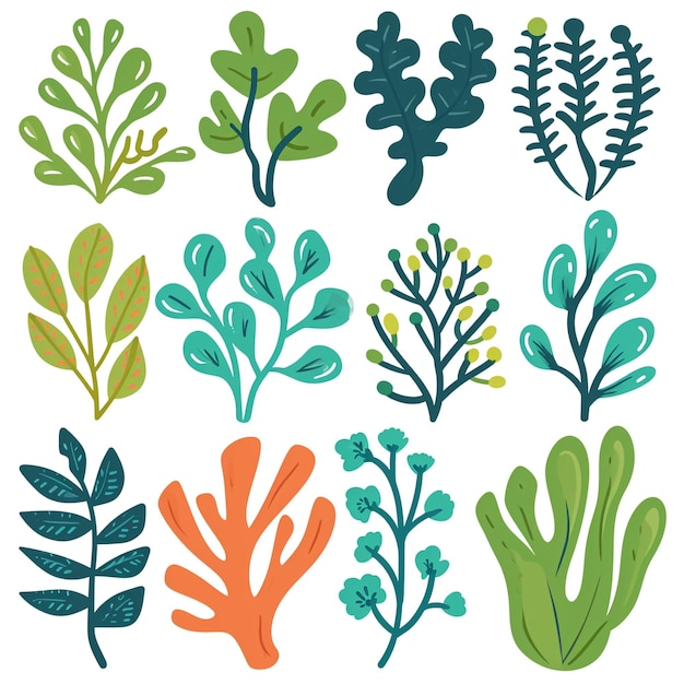 coral y algas clipart que es muy lindo y simple