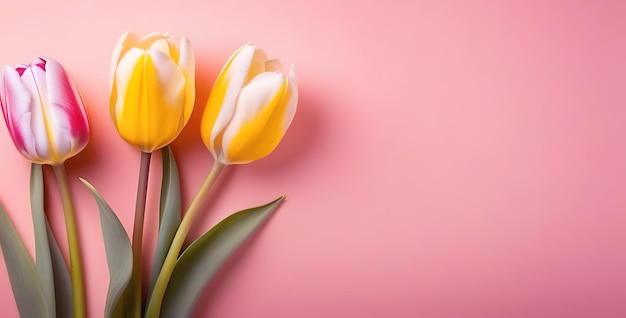 coral claro color melocotón tulipanes flores ramo estandarte primavera estandarte floral espacio para el texto copyspace