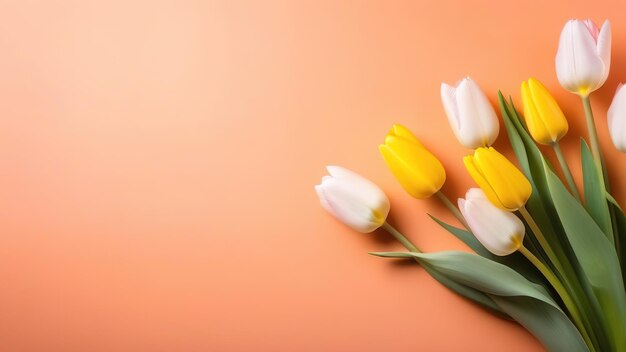coral claro cor pêssego tulipas flores buquê banner primavera banner floral espaço para texto copyspace