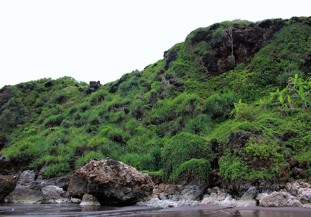 Coral Cliffs e Rock na praia