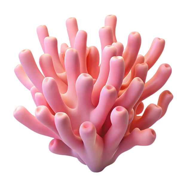 El coral en el elemento 3D