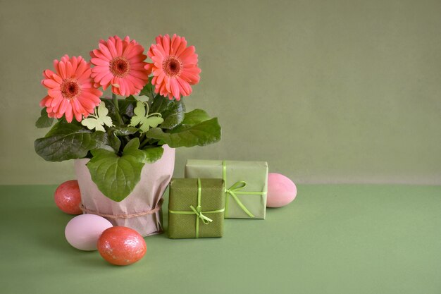 Coral gerbera daisy flores y huevos de Pascua en papel verde, copyspace