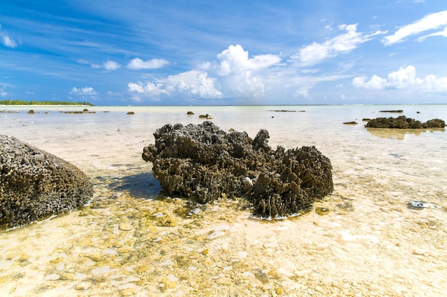 Foto coral pedregoso duro en la playa de la polinesia francesa