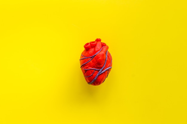 Corazón anatómico en amarillo